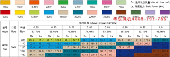 羅茨風機300口徑參數(shù)2.jpg